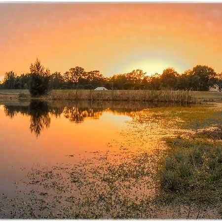Madigan Wine Country Cottages Lovedale Exteriör bild