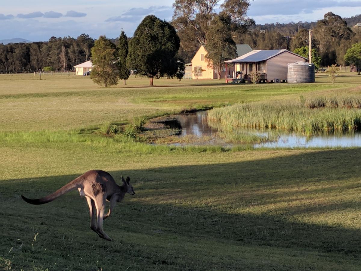 Madigan Wine Country Cottages Lovedale Exteriör bild