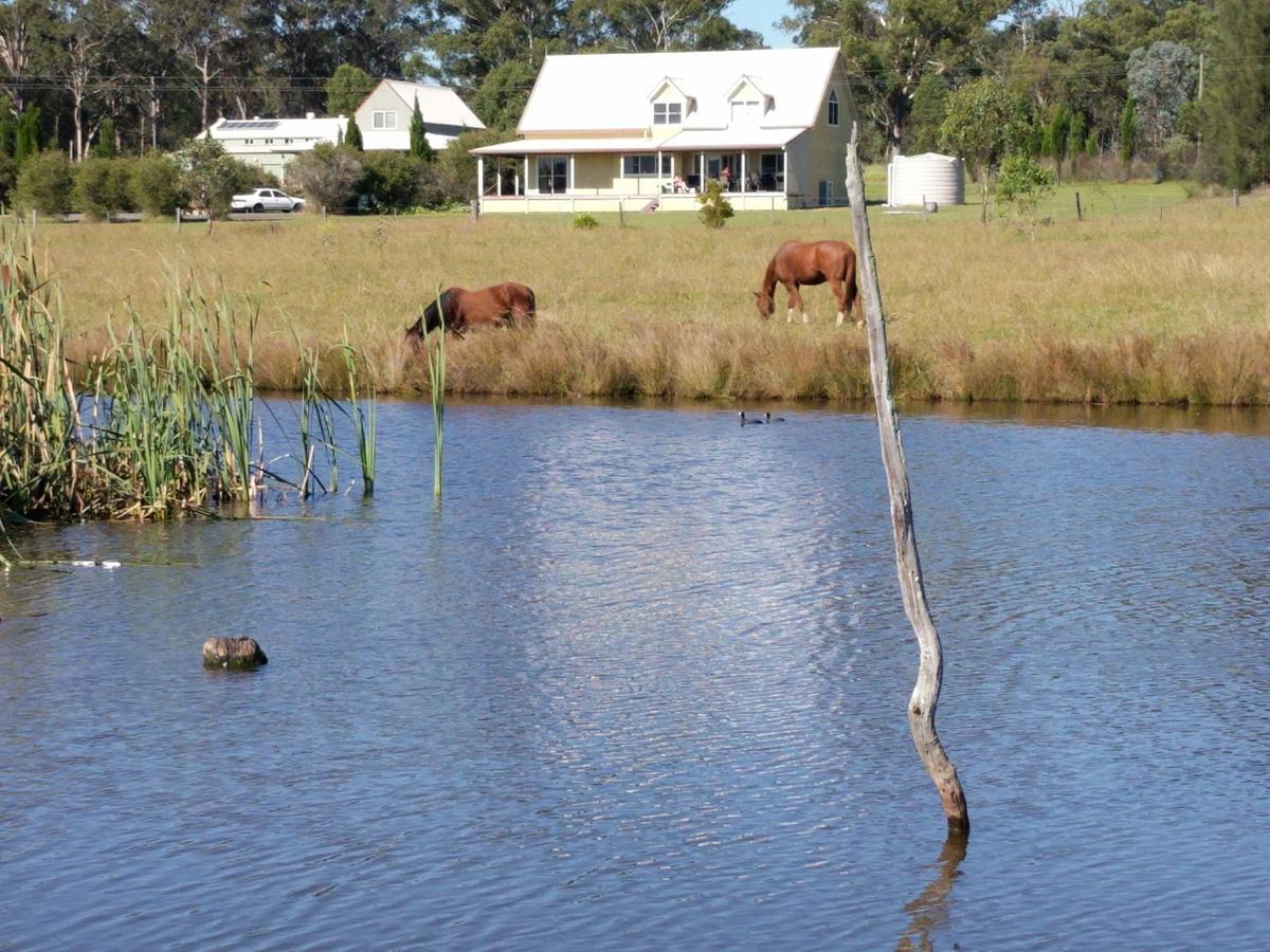 Madigan Wine Country Cottages Lovedale Exteriör bild